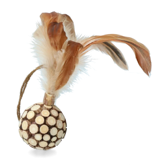 Wooden ball with feathers  