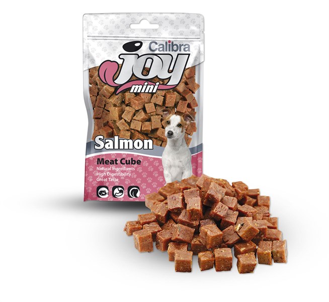 Joy Dog Mini Salmon Cube 